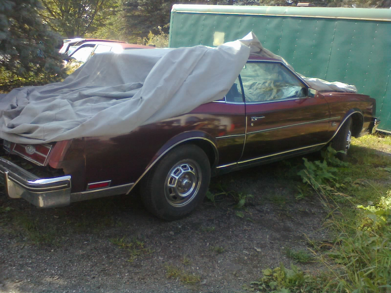 Illustration for article titled I Visited That Must-Sell Car Collection